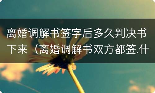 离婚调解书签字后多久判决书下来（离婚调解书双方都签.什么时候收到判决书）
