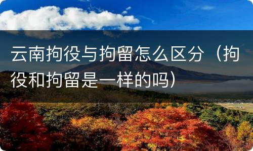 云南拘役与拘留怎么区分（拘役和拘留是一样的吗）
