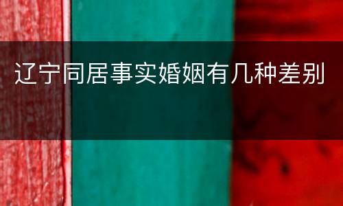 辽宁同居事实婚姻有几种差别