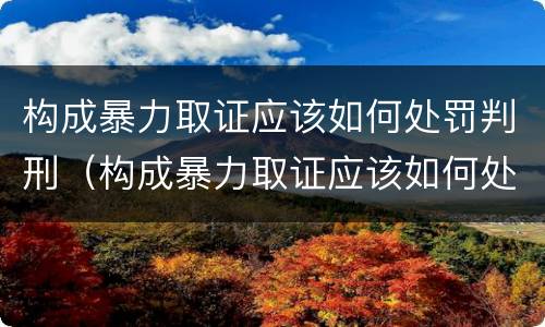 构成暴力取证应该如何处罚判刑（构成暴力取证应该如何处罚判刑的人）