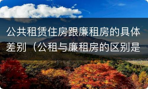 公共租赁住房跟廉租房的具体差别（公租与廉租房的区别是什么）