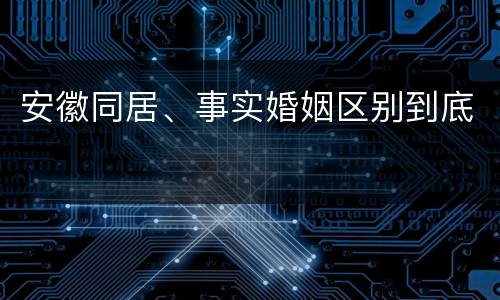 安徽同居、事实婚姻区别到底