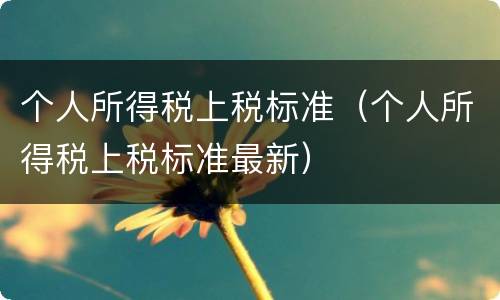 个人所得税上税标准（个人所得税上税标准最新）