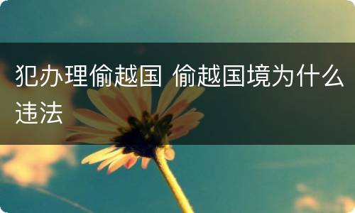 犯办理偷越国 偷越国境为什么违法