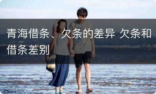 青海借条、欠条的差异 欠条和借条差别