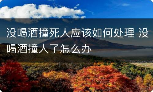 没喝酒撞死人应该如何处理 没喝酒撞人了怎么办