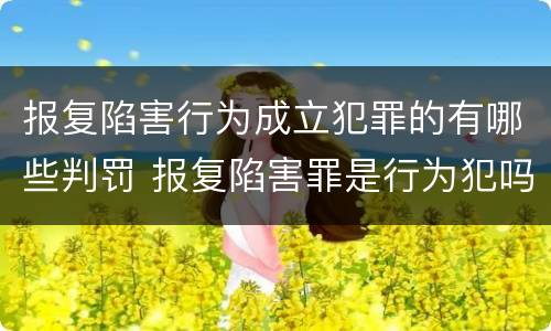 报复陷害行为成立犯罪的有哪些判罚 报复陷害罪是行为犯吗