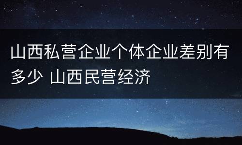 山西私营企业个体企业差别有多少 山西民营经济