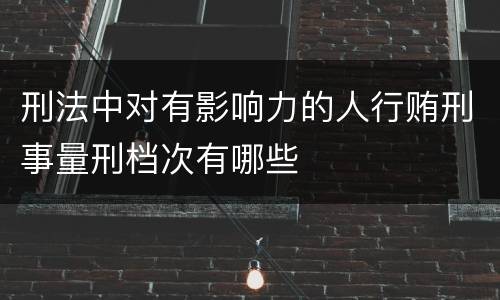 刑法中对有影响力的人行贿刑事量刑档次有哪些