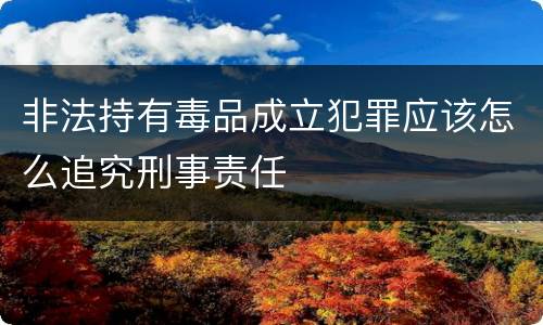 非法持有毒品成立犯罪应该怎么追究刑事责任