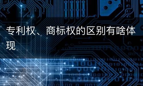 专利权、商标权的区别有啥体现