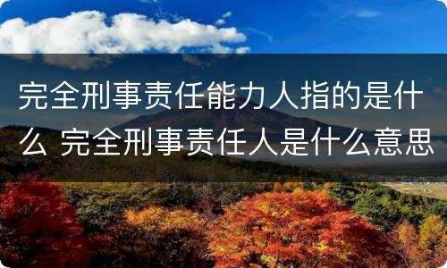 完全刑事责任能力人指的是什么 完全刑事责任人是什么意思