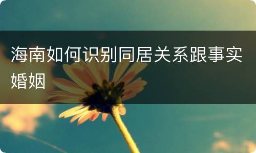 海南如何识别同居关系跟事实婚姻