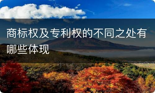 商标权及专利权的不同之处有哪些体现