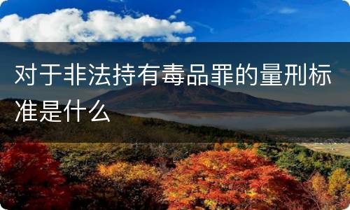 对于非法持有毒品罪的量刑标准是什么