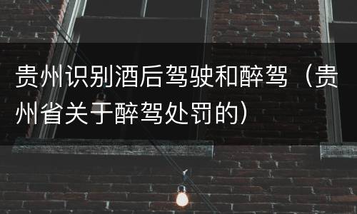 贵州识别酒后驾驶和醉驾（贵州省关于醉驾处罚的）