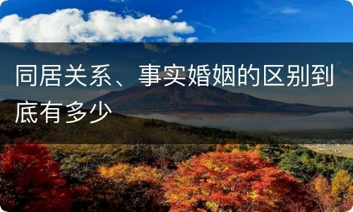同居关系、事实婚姻的区别到底有多少