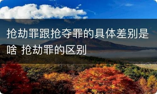 抢劫罪跟抢夺罪的具体差别是啥 抢劫罪的区别
