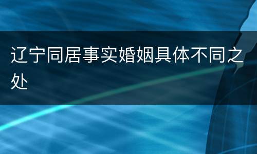 辽宁同居事实婚姻具体不同之处