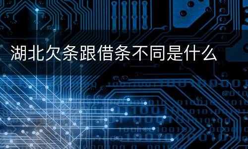 湖北欠条跟借条不同是什么