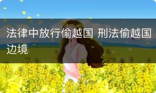 法律中放行偷越国 刑法偷越国边境