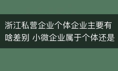 浙江私营企业个体企业主要有啥差别 小微企业属于个体还是私营