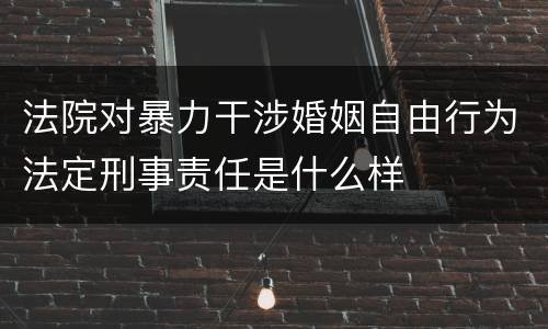 法院对暴力干涉婚姻自由行为法定刑事责任是什么样