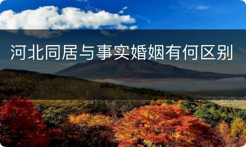 河北同居与事实婚姻有何区别