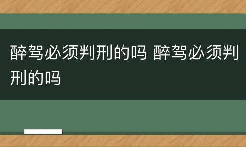 醉驾必须判刑的吗 醉驾必须判刑的吗