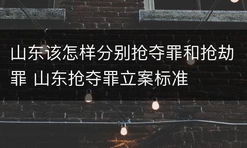 山东该怎样分别抢夺罪和抢劫罪 山东抢夺罪立案标准