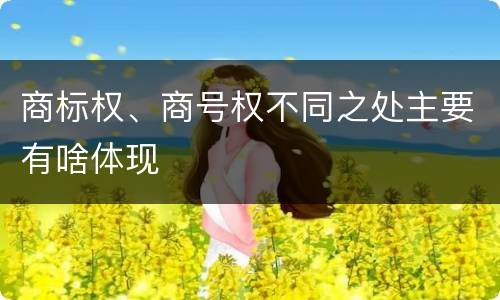 商标权、商号权不同之处主要有啥体现