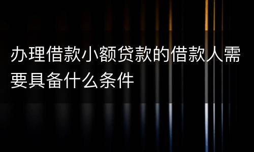 办理借款小额贷款的借款人需要具备什么条件
