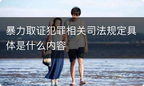 暴力取证犯罪相关司法规定具体是什么内容