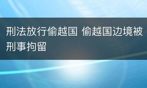 刑法放行偷越国 偷越国边境被刑事拘留