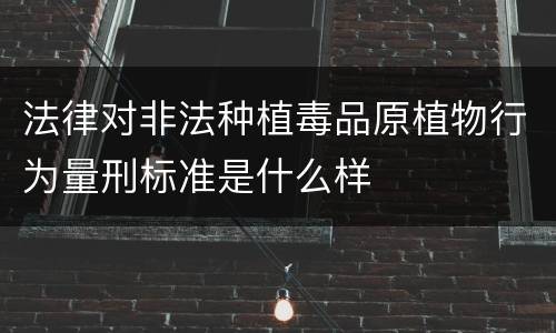 法律对非法种植毒品原植物行为量刑标准是什么样