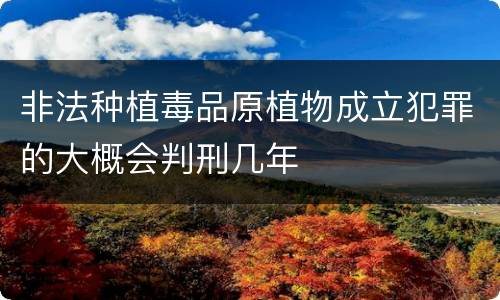 非法种植毒品原植物成立犯罪的大概会判刑几年