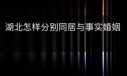 湖北怎样分别同居与事实婚姻