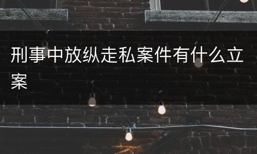 刑事中放纵走私案件有什么立案