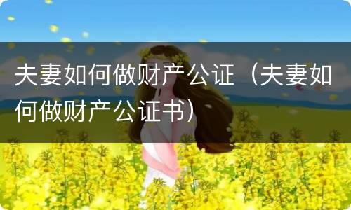 夫妻如何做财产公证（夫妻如何做财产公证书）