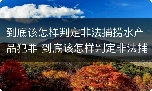 到底该怎样判定非法捕捞水产品犯罪 到底该怎样判定非法捕捞水产品犯罪行为