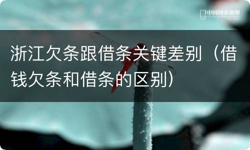 浙江欠条跟借条关键差别（借钱欠条和借条的区别）