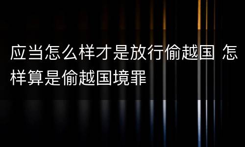应当怎么样才是放行偷越国 怎样算是偷越国境罪