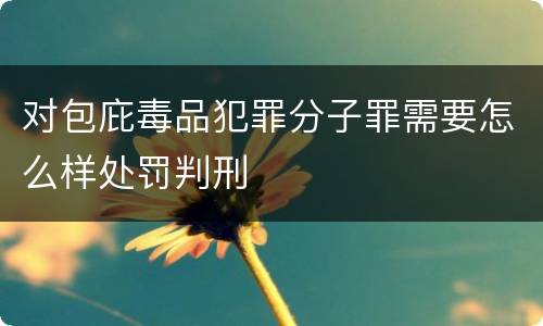 对包庇毒品犯罪分子罪需要怎么样处罚判刑