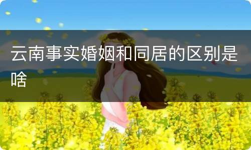 云南事实婚姻和同居的区别是啥