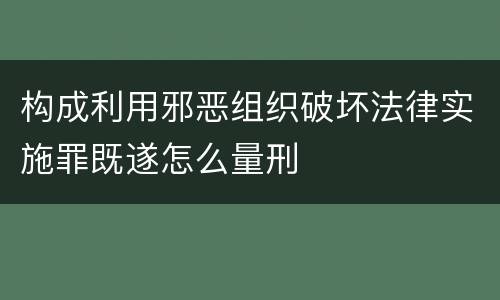 构成利用邪恶组织破坏法律实施罪既遂怎么量刑