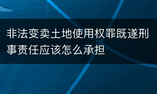 非法变卖土地使用权罪既遂刑事责任应该怎么承担