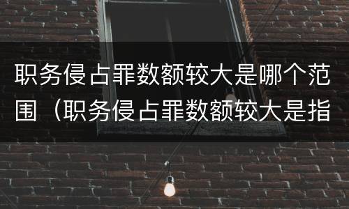 职务侵占罪数额较大是哪个范围（职务侵占罪数额较大是指多少）
