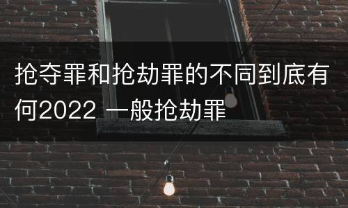 抢夺罪和抢劫罪的不同到底有何2022 一般抢劫罪