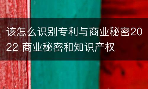 该怎么识别专利与商业秘密2022 商业秘密和知识产权
