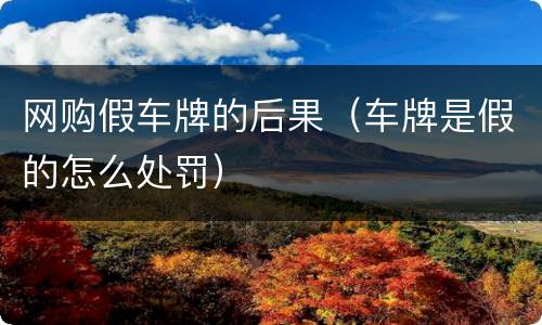 网购假车牌的后果（车牌是假的怎么处罚）